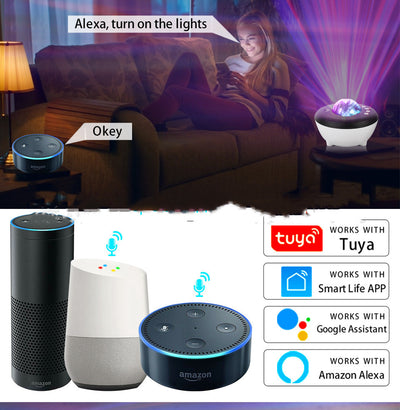 Tuya Smart Voice Control Northern Lights